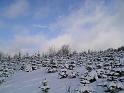Winter 8